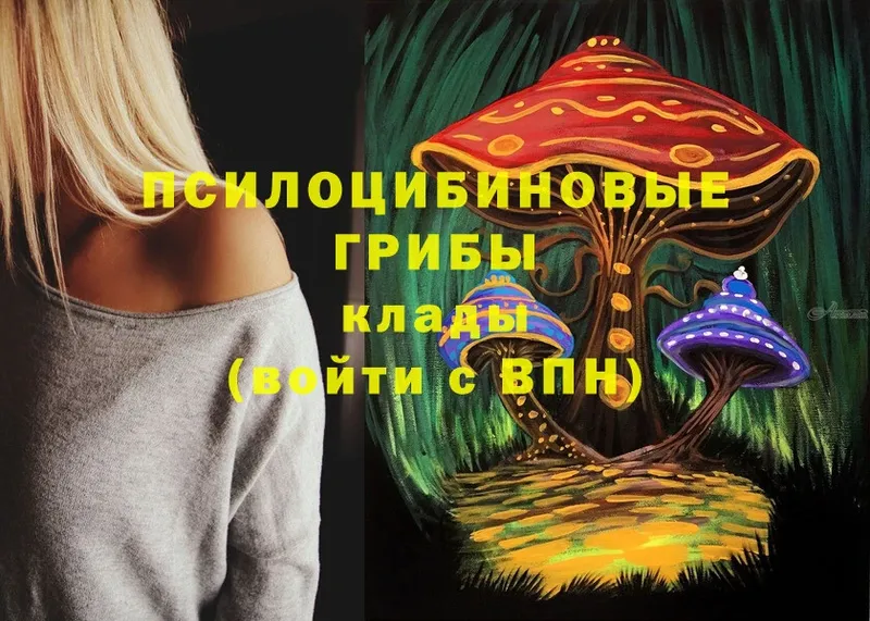 Псилоцибиновые грибы Cubensis  наркота  МЕГА   Прохладный 